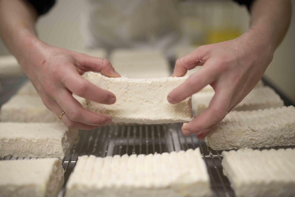 Fromages et yaourts authentiques au lait de brebis 