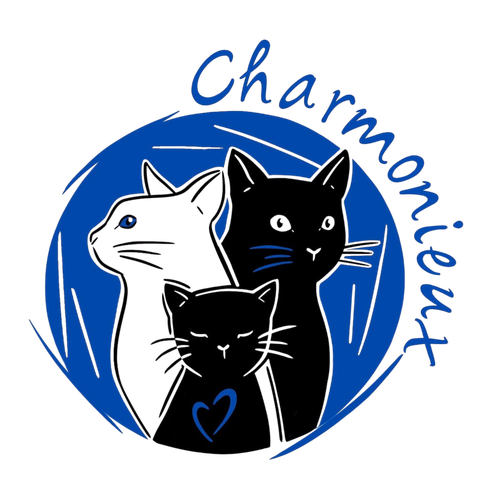 Pour un chat plus épanoui et des liens apaisés – Des outils choisis avec expertise.