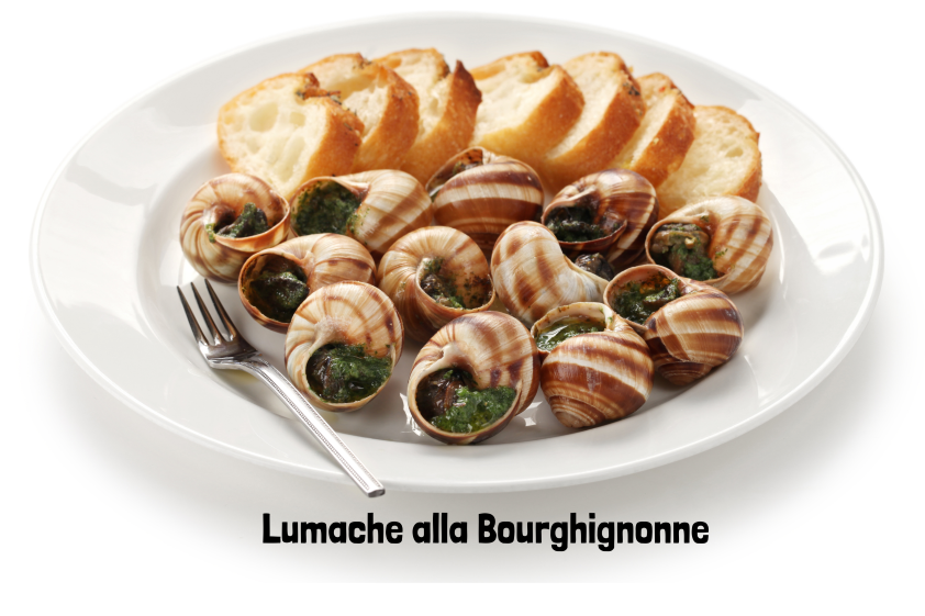Lumache alla Bourghignonne