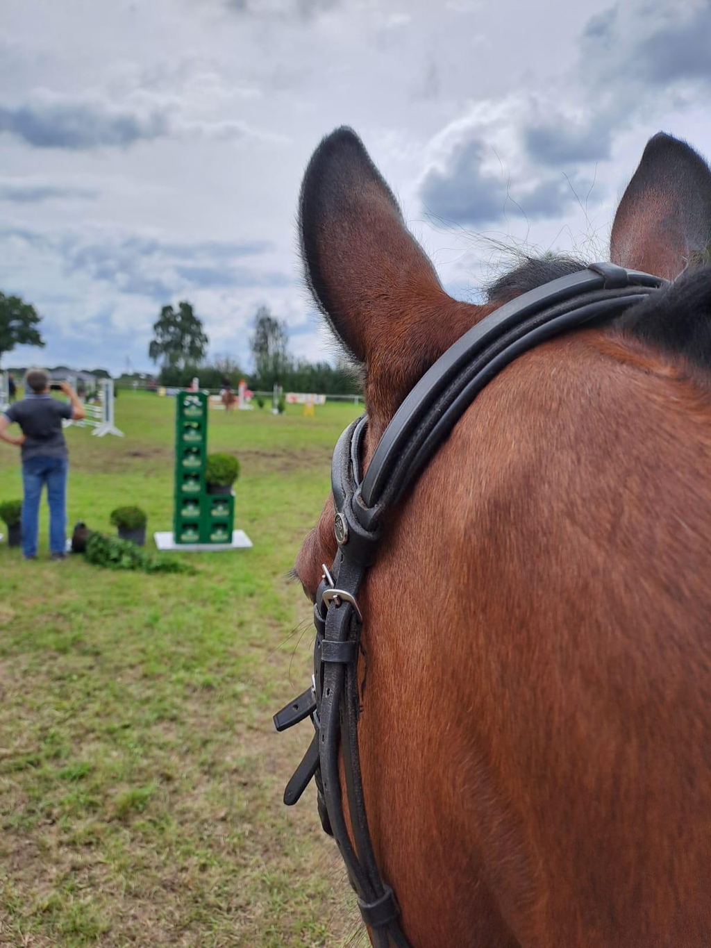 HEIKRA Pferdefutter:Erfolg beginnt bei der Fütterung