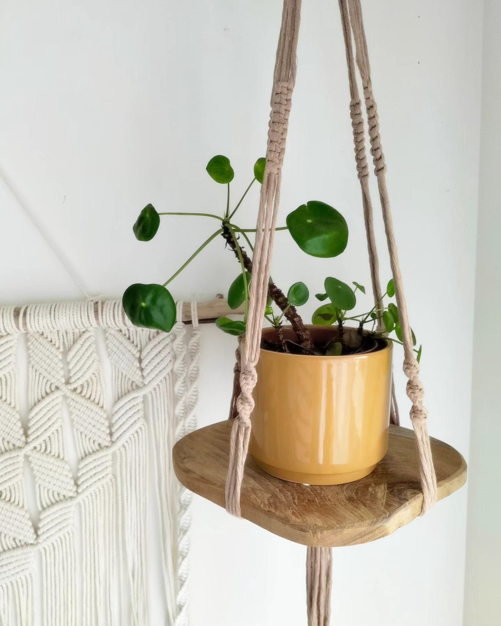 product_list_image_cover