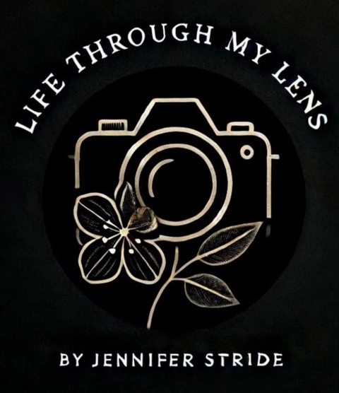 Mindfulness photographer capturing beautiful in nature. 
Aluminium, canvas prints available.