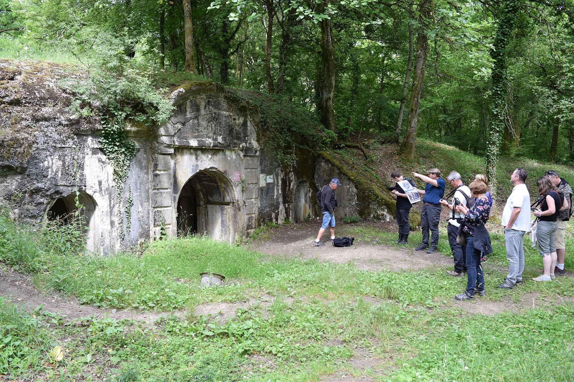 Section image