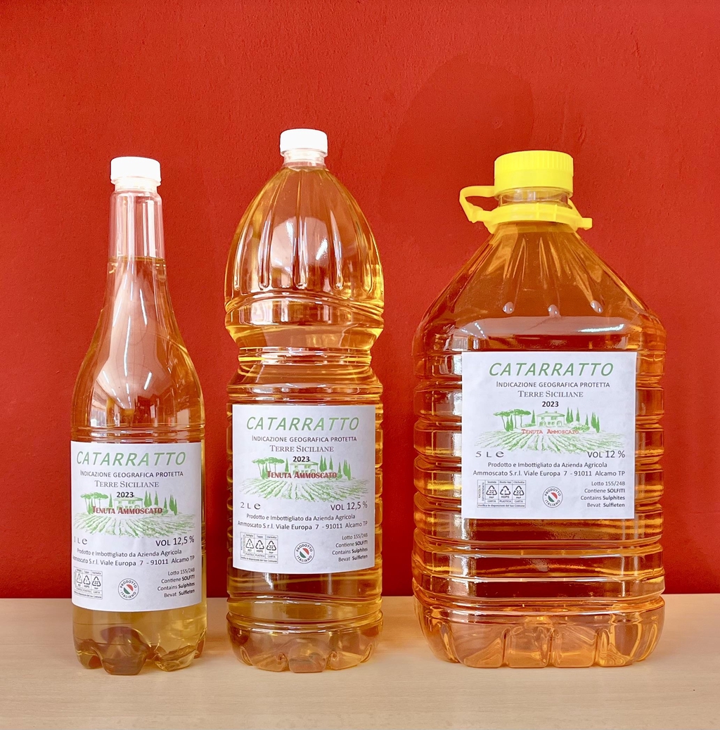 Vino Bianco Catarratto IGP
Terre Siciliane 2023