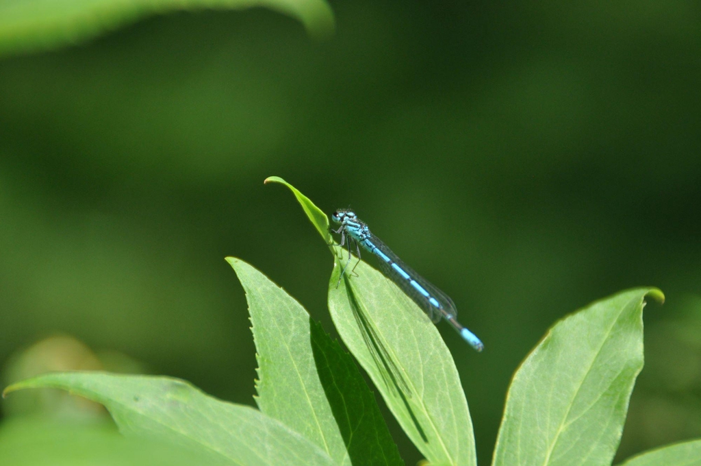 pochette mouchoir
Momo la Débrouille
Upcycling
Fait main
7 Raisons pour abandonner le jetable