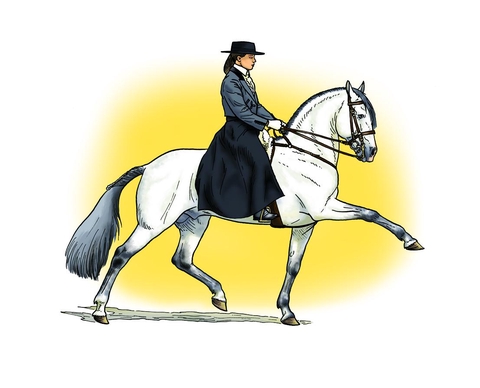 Fanny Ruelle Artiste Illustration Graphisme Sculpture BD Lilou et Filou cartes postales anniversaire naissance