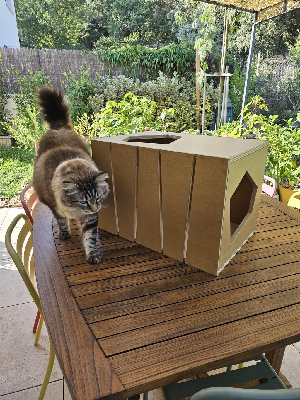 Un magnifique chat tigré à poils longs marche sur une table de jardin en bois à côté de la grande niche d'intérieur en bois Le Loft, mettant en valeur ses lignes verticales et son ouverture géométrique.