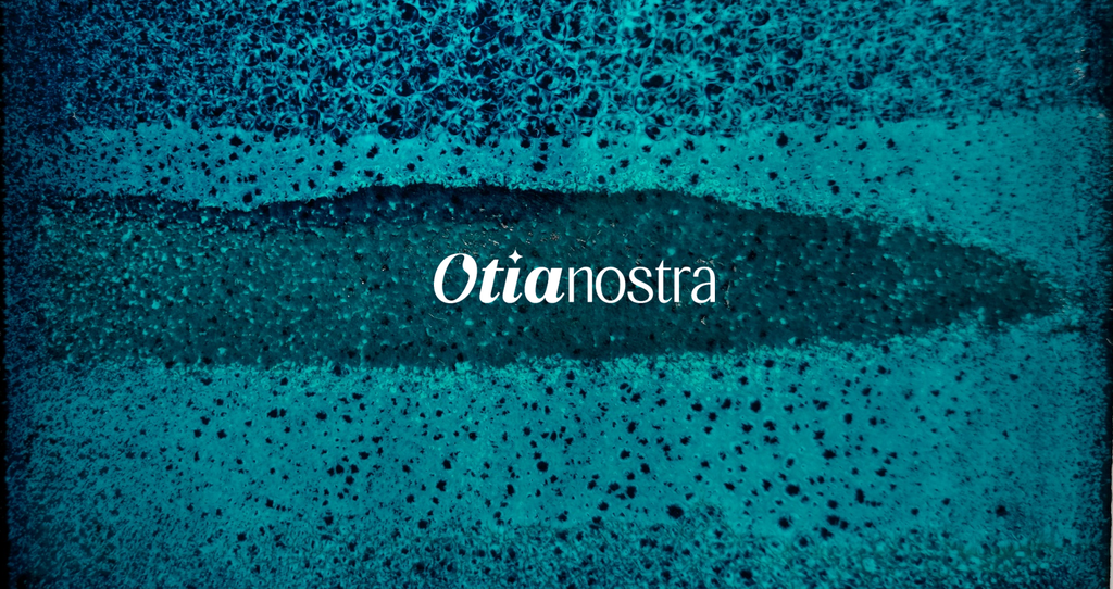 Logo Otia nostra sur fond d'émail dans les tons bleus-verts