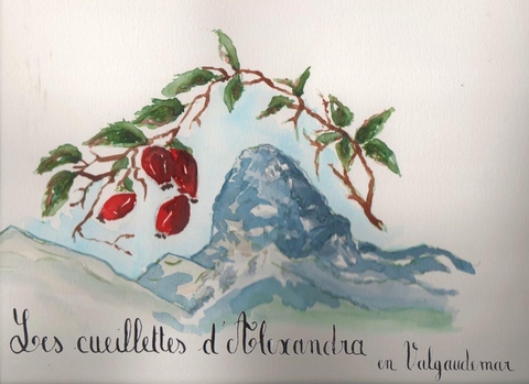 Tisanes artisanales 
A CORPS ET AME