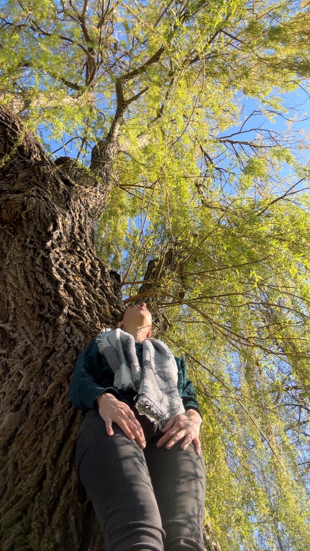 banner_image