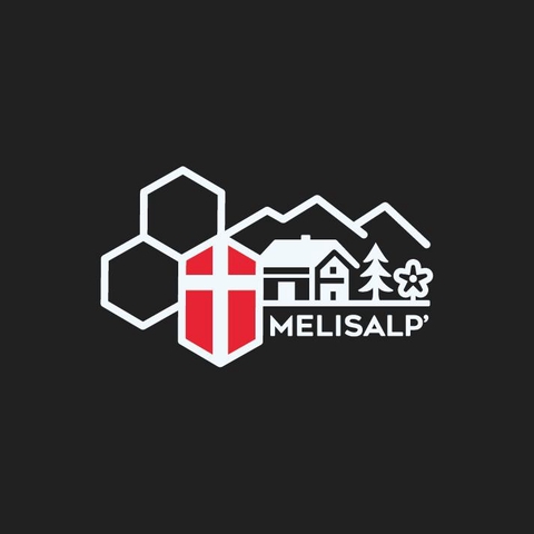 Melisalp' : boissons à base de miel fermenté, Jun Kombucha et Hydromels modernes secs pétillants