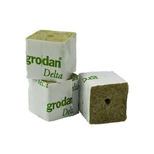 Idätys & pistokkaat