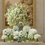 
Décoration mariage et réception 


Décoratrice.mariage.Reception
Location.. d art de la table 
