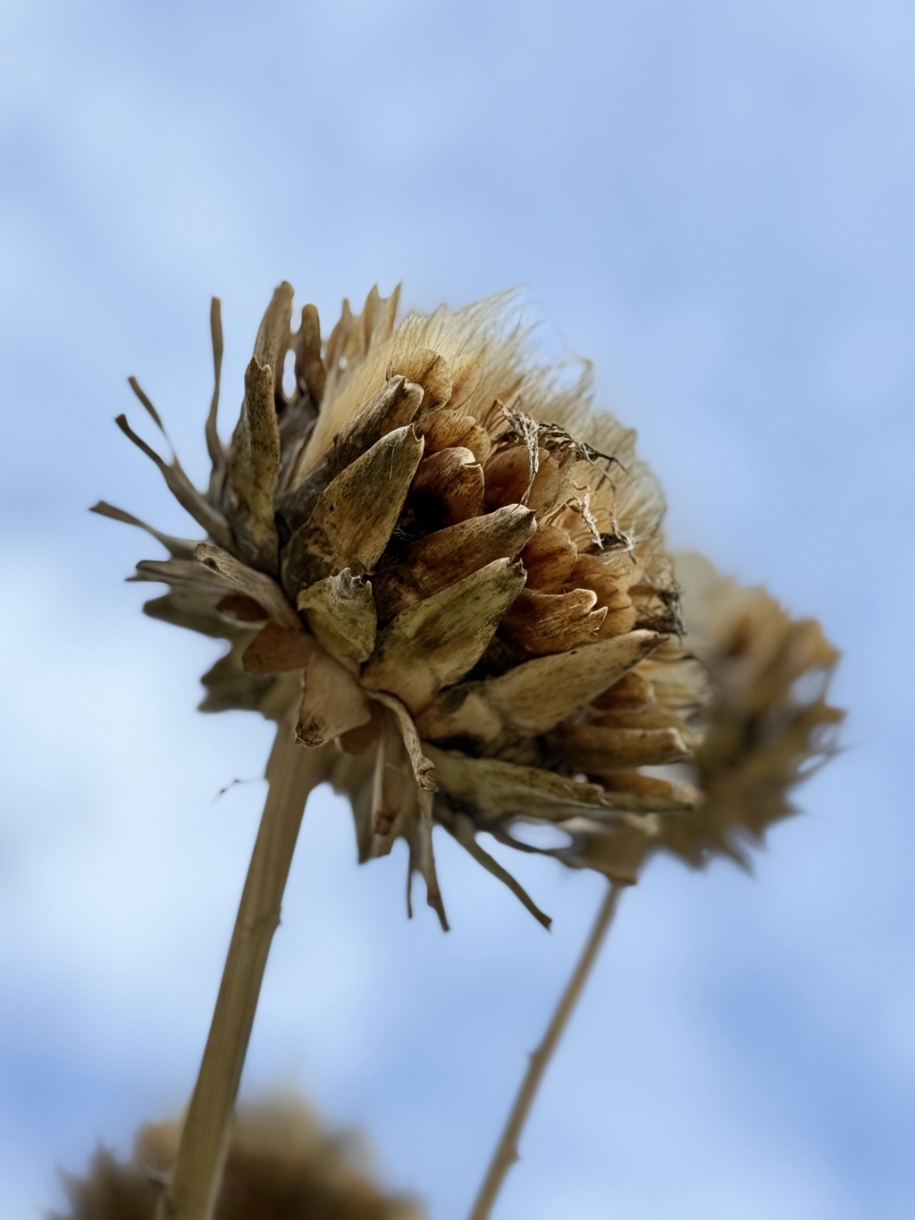 3 etapas para llegar a lo profundo: Regenera tu belleza dese el interior 