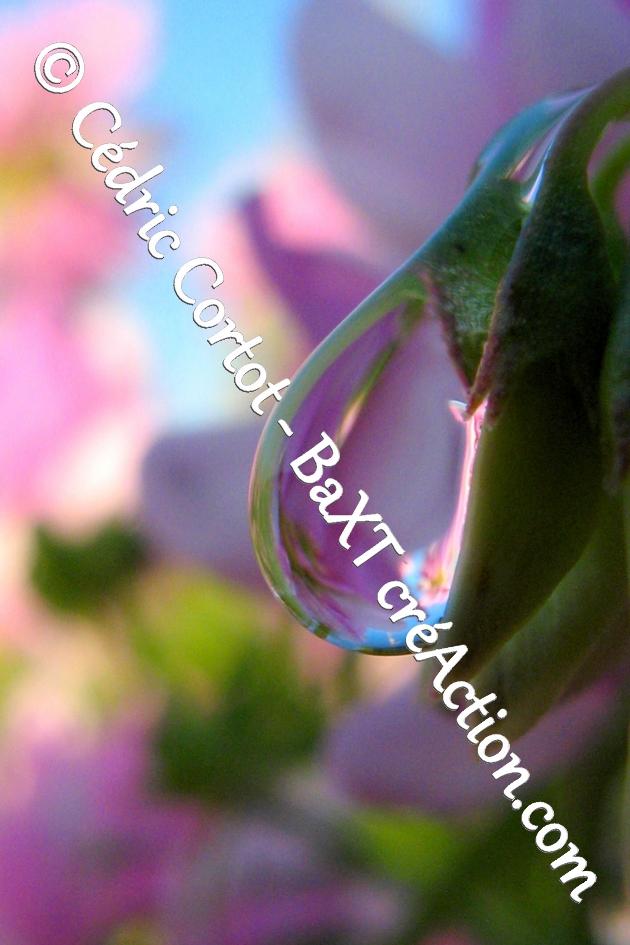 product_list_image_cover