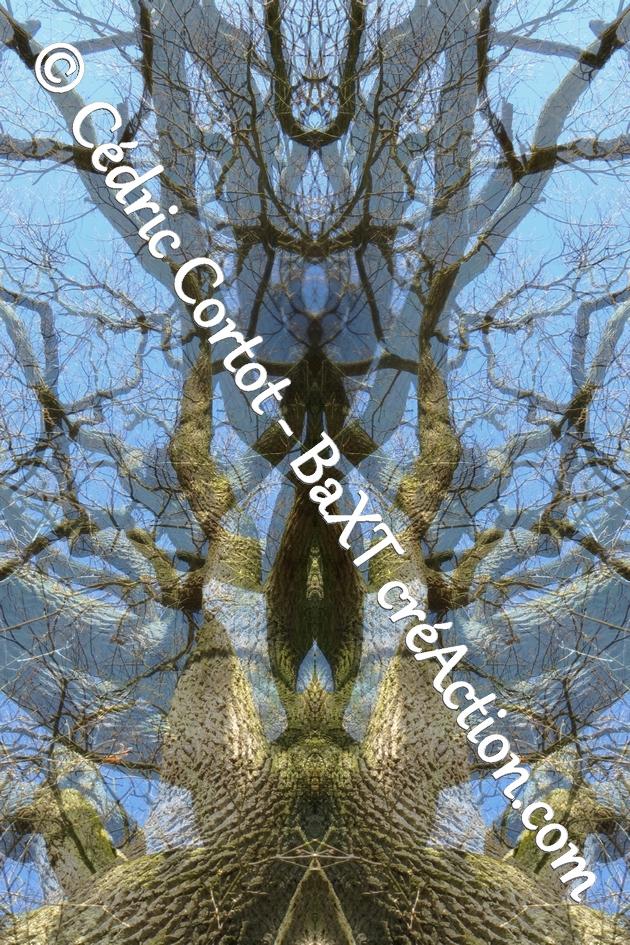 product_list_image_cover