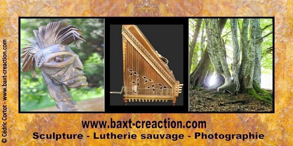 BaXT créAction, Sculpture, Lutherie sauvage et Photos Nature, par Cédric Cortot, artiste autodidacte.