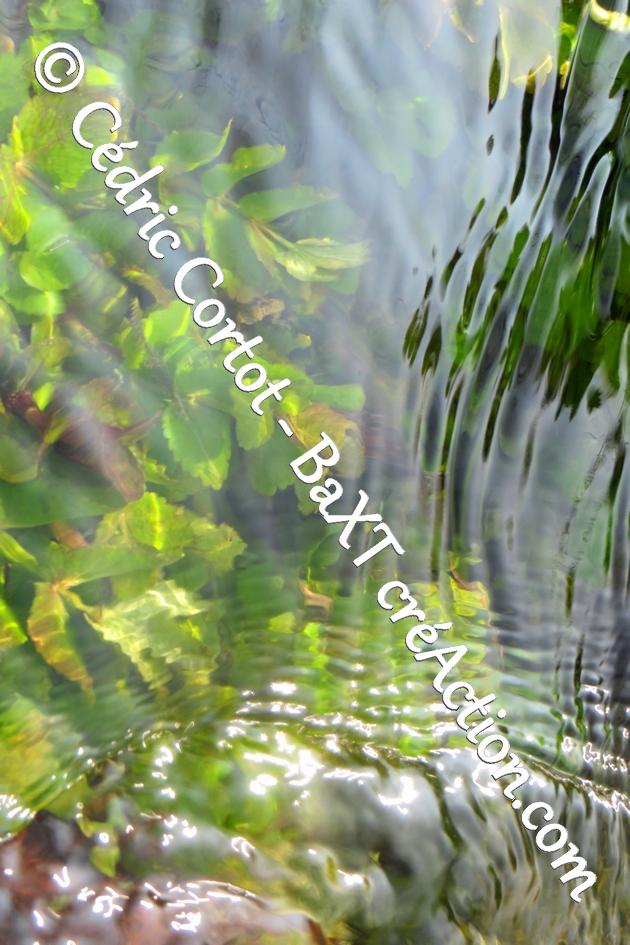 product_list_image_cover