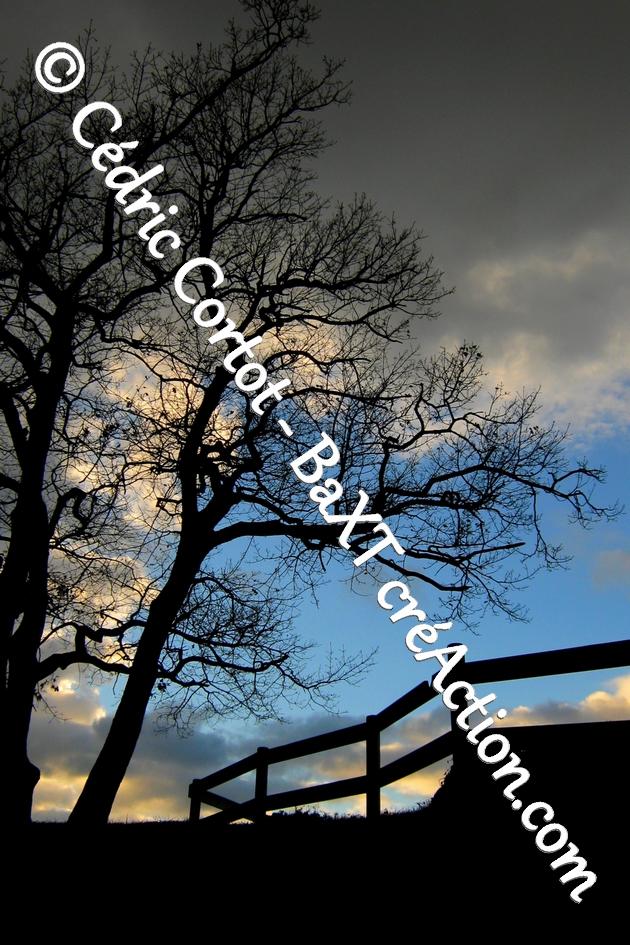 product_list_image_cover