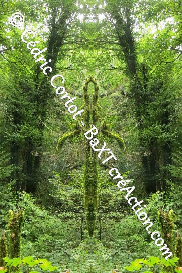 Impressions sur alu dibond