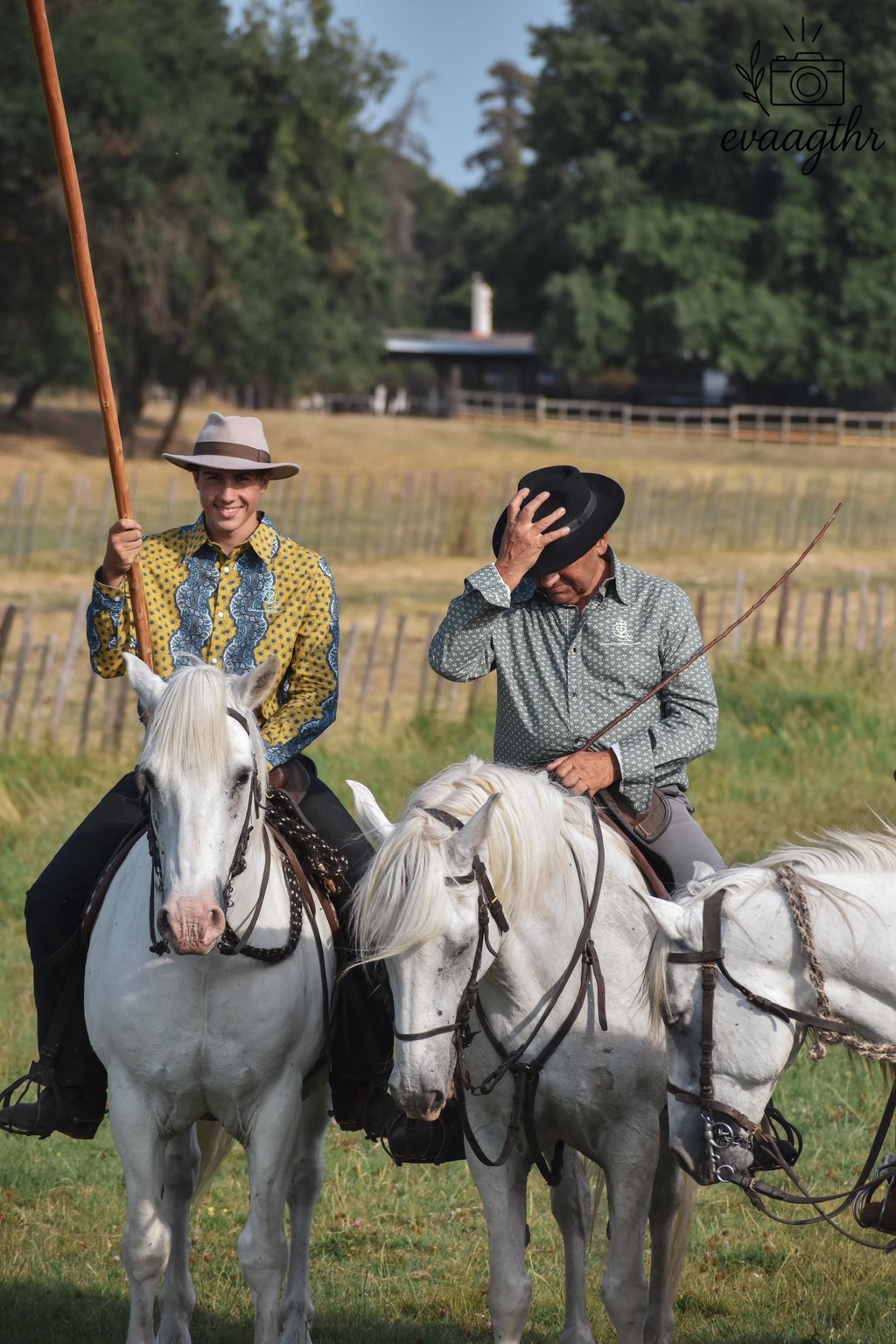 product_list_image_cover