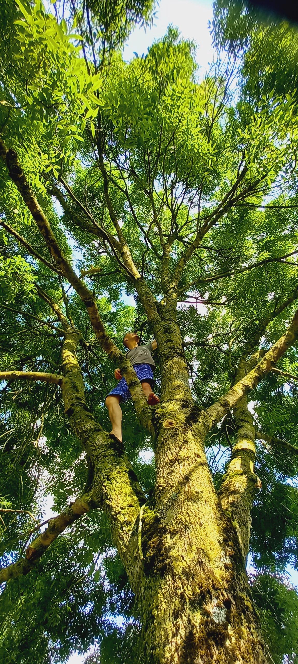 BIOGRAPHIE DE L'AUTEUR