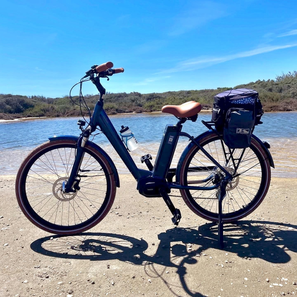 Prix avantageux pour des vélos de qualité avec peu de kilomètres. 