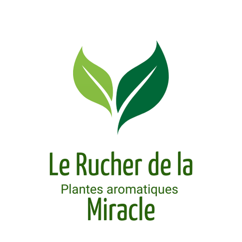 Le rucher de la Miracle . Plantes aromatiques non traitées pour tisanes, cuisine et infusions. Entreprise artisanale française. 