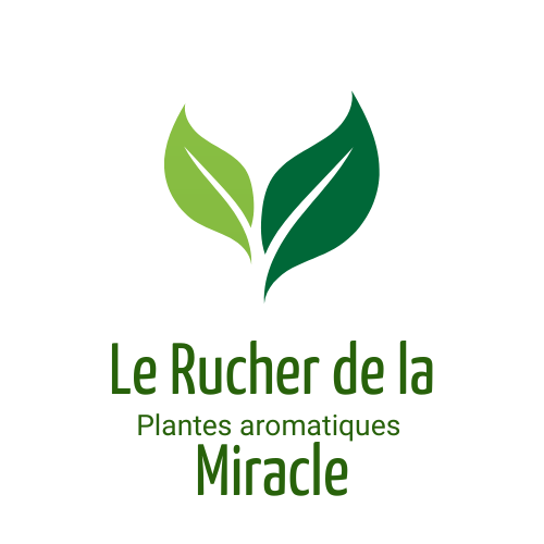 Le rucher de la Miracle . Plantes aromatiques non traitées pour tisanes, cuisine et infusions. Entreprise artisanale française. 