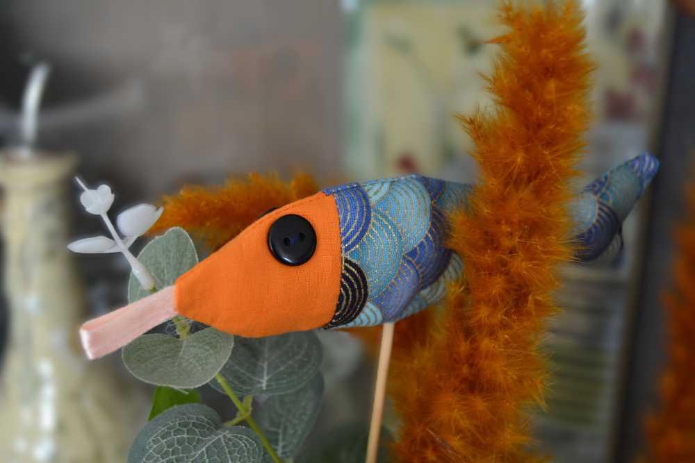  Poissons de la Côte d'Opale 
Wimereux - Ambleteuse - Audresselle - Wissant