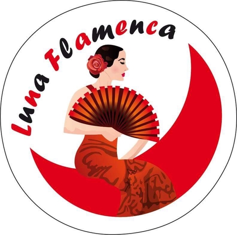 Flamenco Shoes