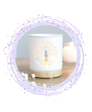 Oil Burner