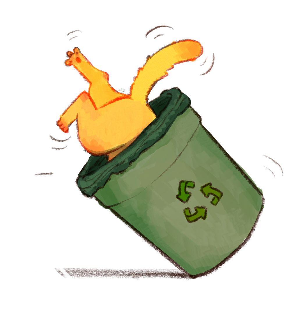 initiative zéro déchet