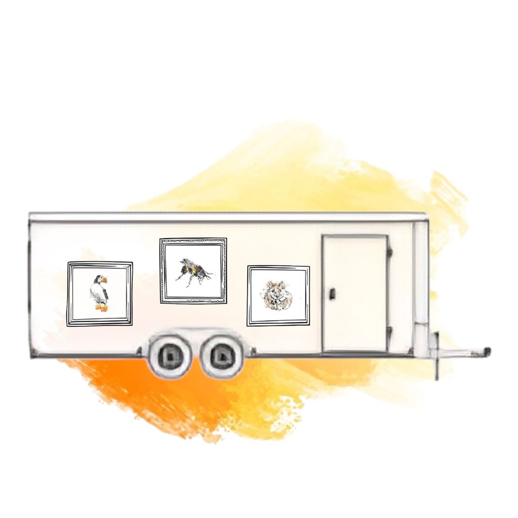 Funky, fun trailer gallery 