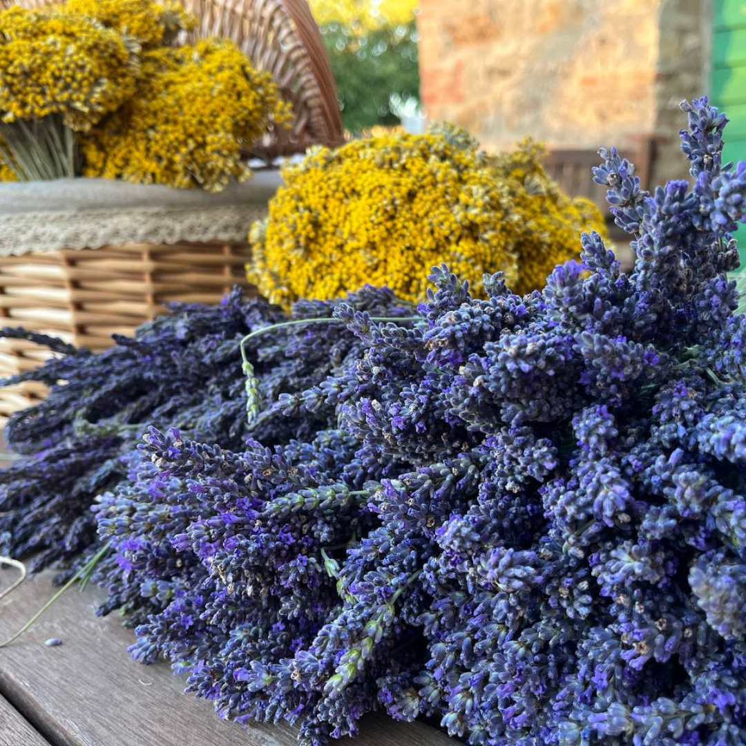 lavanda, elicriso, rosmarino, sali aromatizzati, olio EVO, oli essenziali, acque aromatiche, idrolati, profumatori, biscotti alla lavanda, biscotti all'elicriso, tisane e confezioni regalo per lei, box regalo, azienda agricola biologica