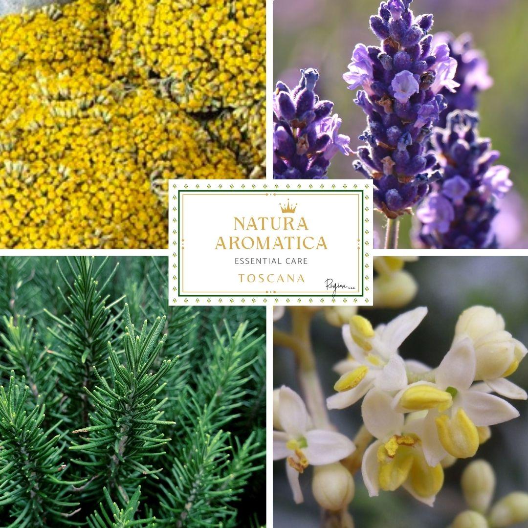 lavanda, elicriso, rosmarino, sali aromatizzati, olio EVO, oli essenziali, acque aromatiche, idrolati, profumatori, biscotti alla lavanda, biscotti all'elicriso, tisane e confezioni regalo per lei, box regalo, azienda agricola biologica