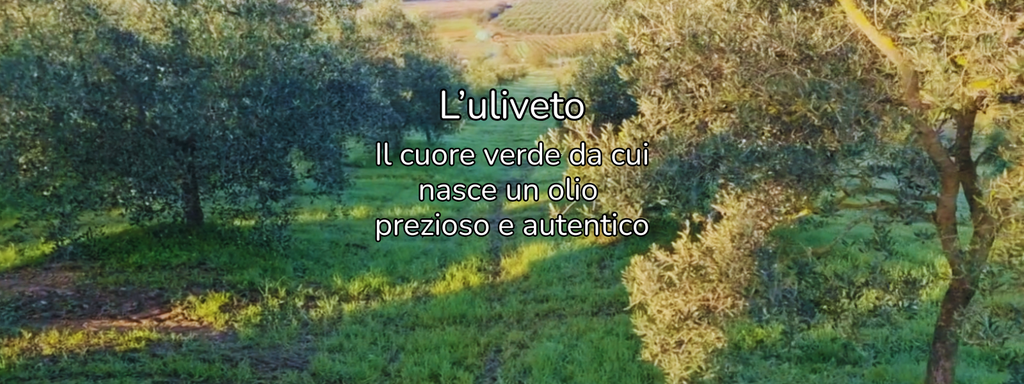 lavanda, elicriso, rosmarino, sali aromatizzati, olio EVO, oli essenziali, acque aromatiche, idrolati, profumatori, biscotti alla lavanda, biscotti all'elicriso, tisane e confezioni regalo per lei, box regalo
