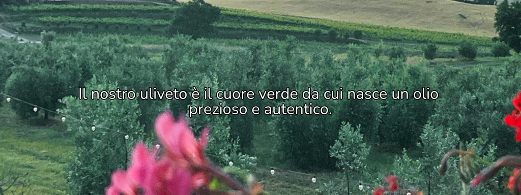 Il nostro uliveto produce olio extravergine d'oliva