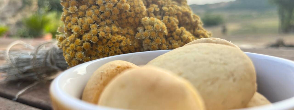 Elicriso: usi e ricette