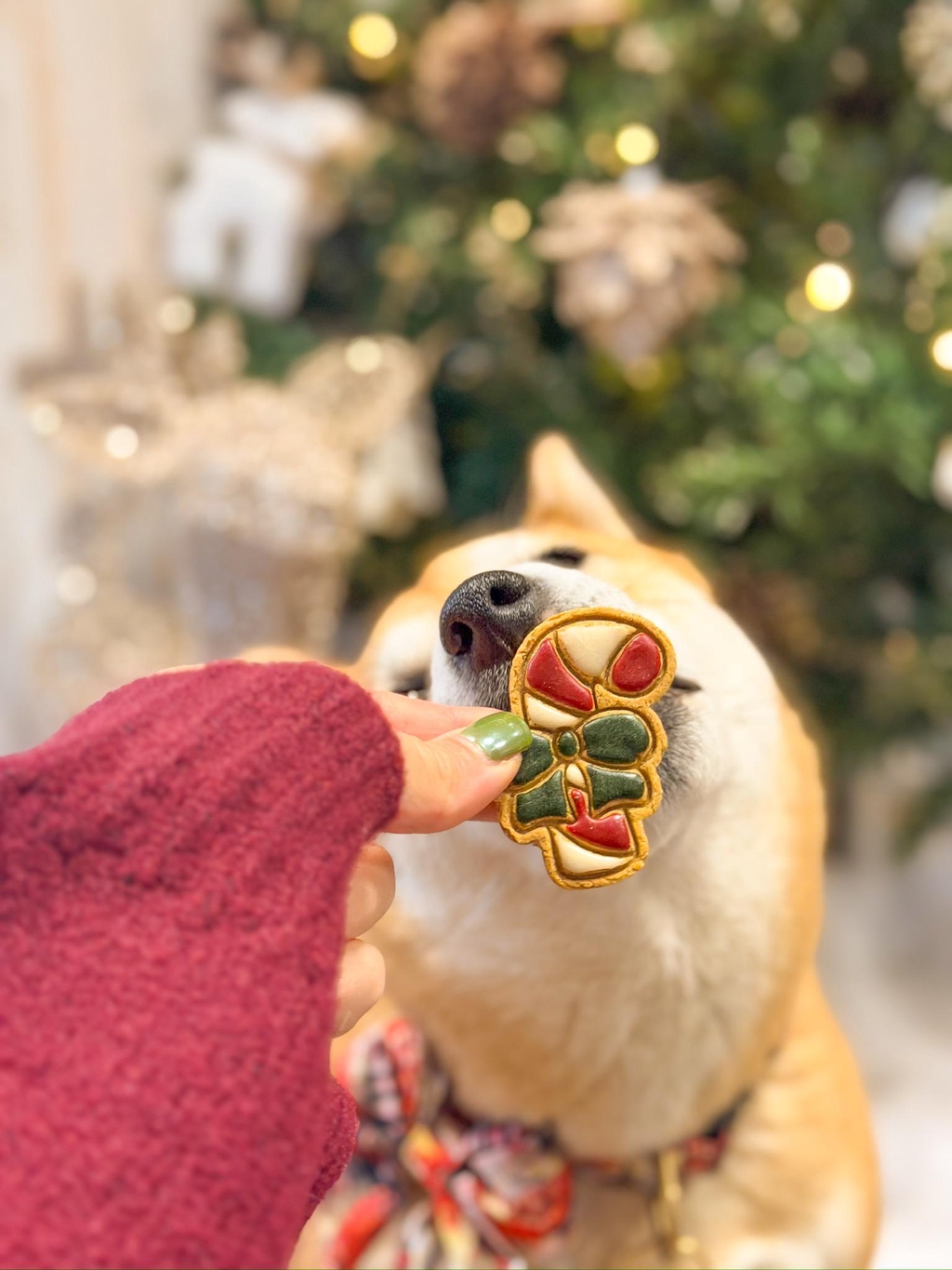 product_list_image_cover