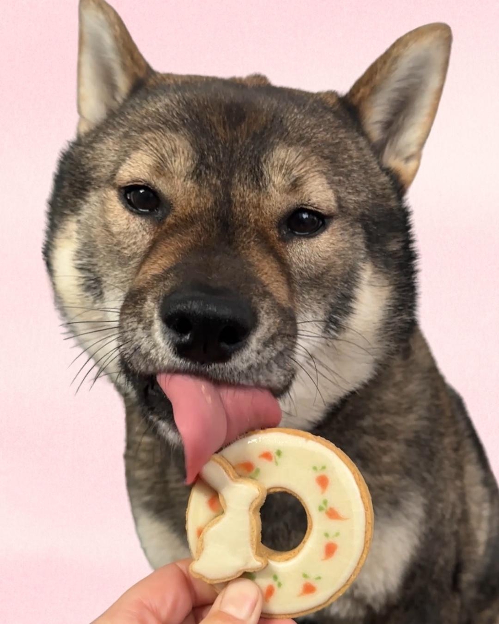 product_list_image_cover