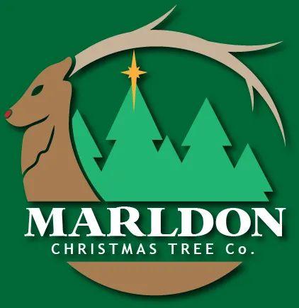 Marldon Christmas Tree Farm