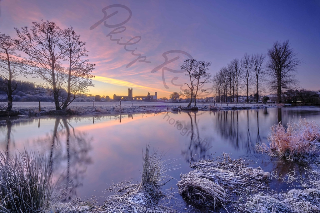 Prints by Philip Reilly