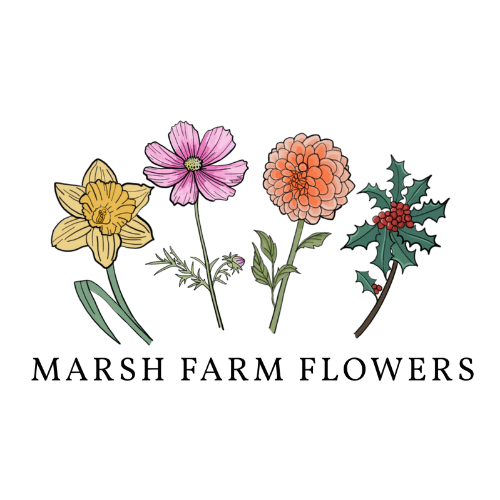 Products and Events