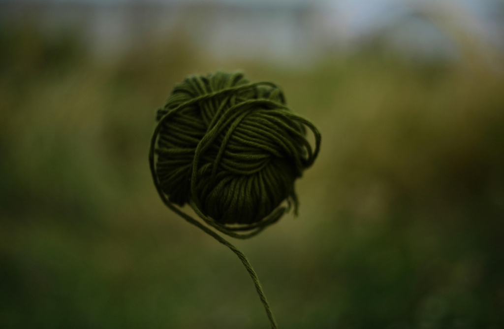 Photo d'une pelote de laine verte
