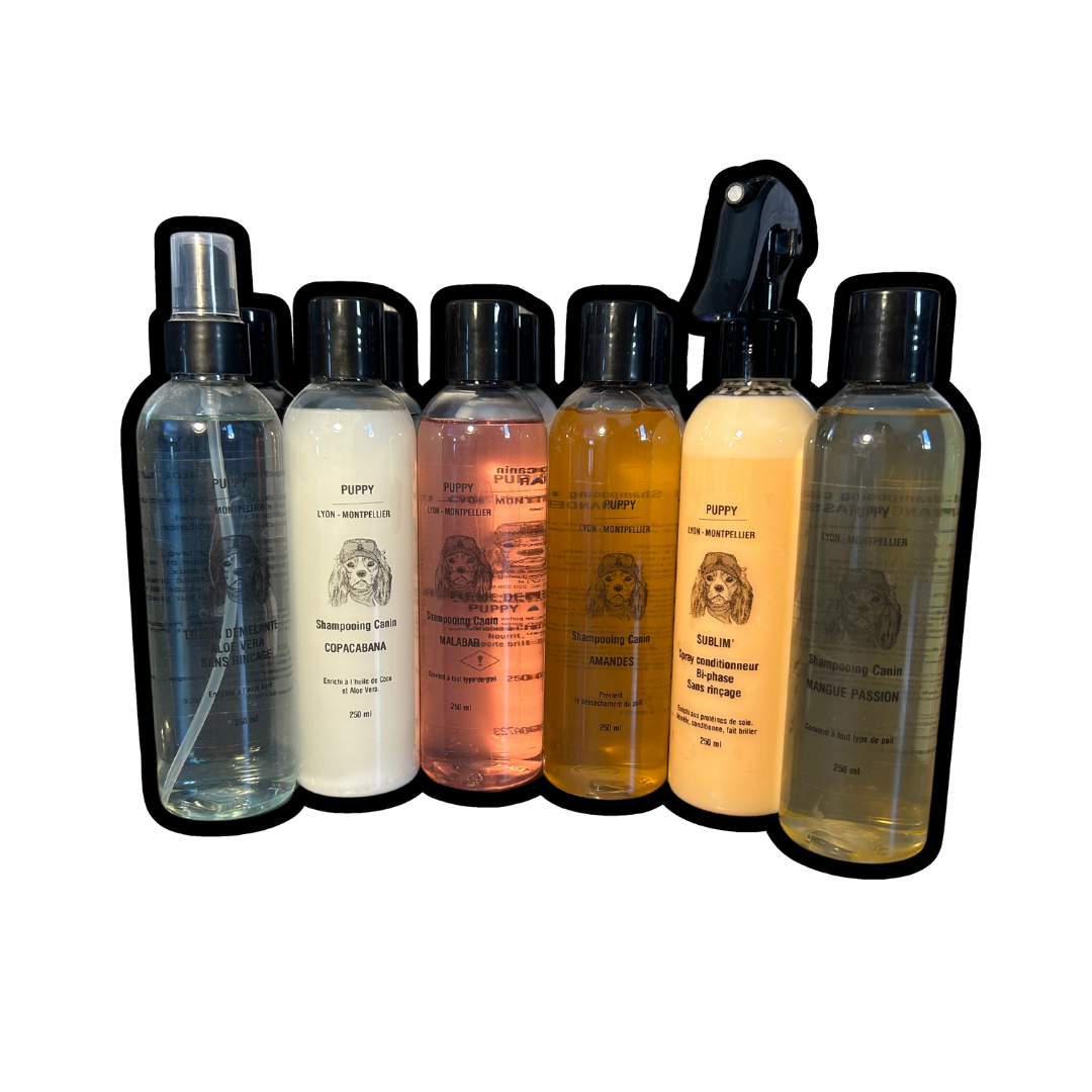 Shampooings chien