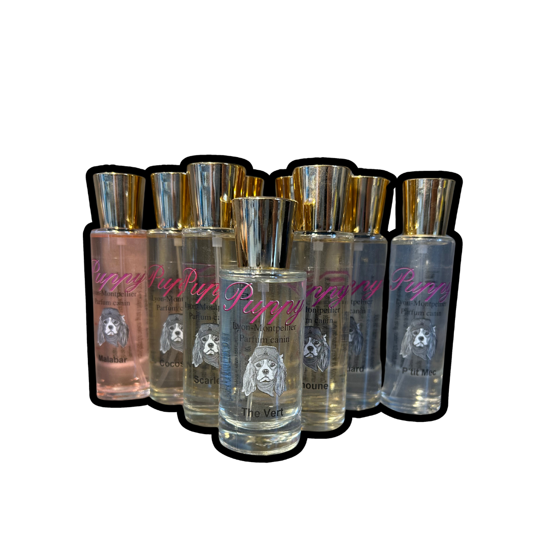 Parfums chien