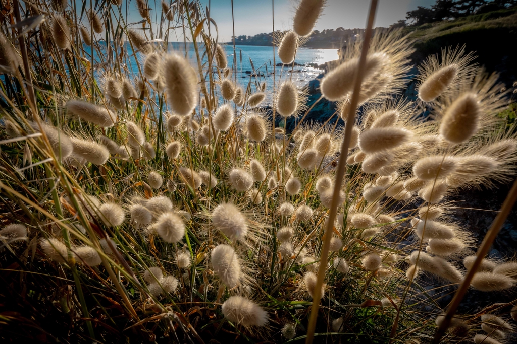 Les plus belles plages de Loire-Atlantique