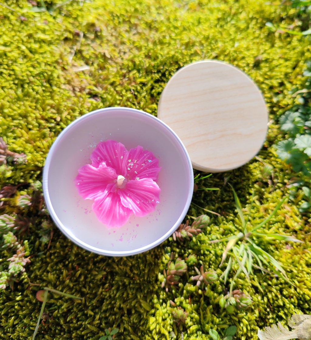 Collection Printemps 