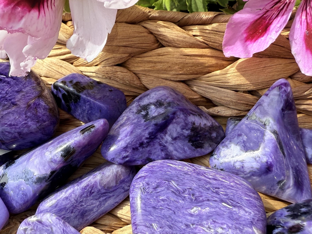 minéraux pierres lithotherapie collection charoïte